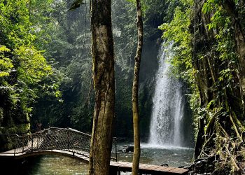 ulu petanu waterfall